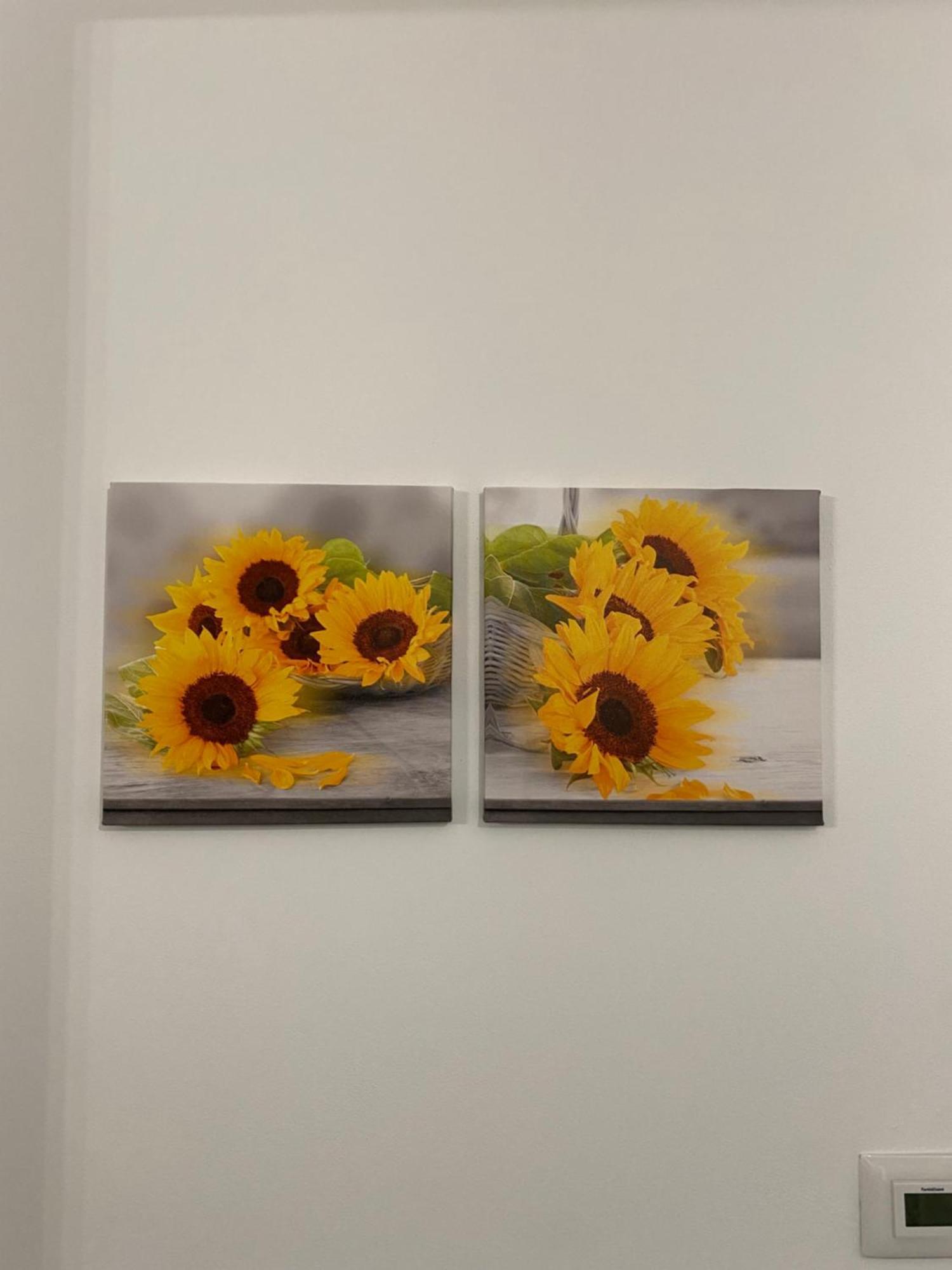 Houses Of Flowers Spinea Luaran gambar